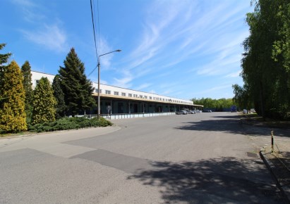 hala na sprzedaż - Sosnowiec, Zagórze